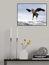 Prepare for landing Poster och Canvastavla