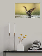 Lift Off! Poster och Canvastavla