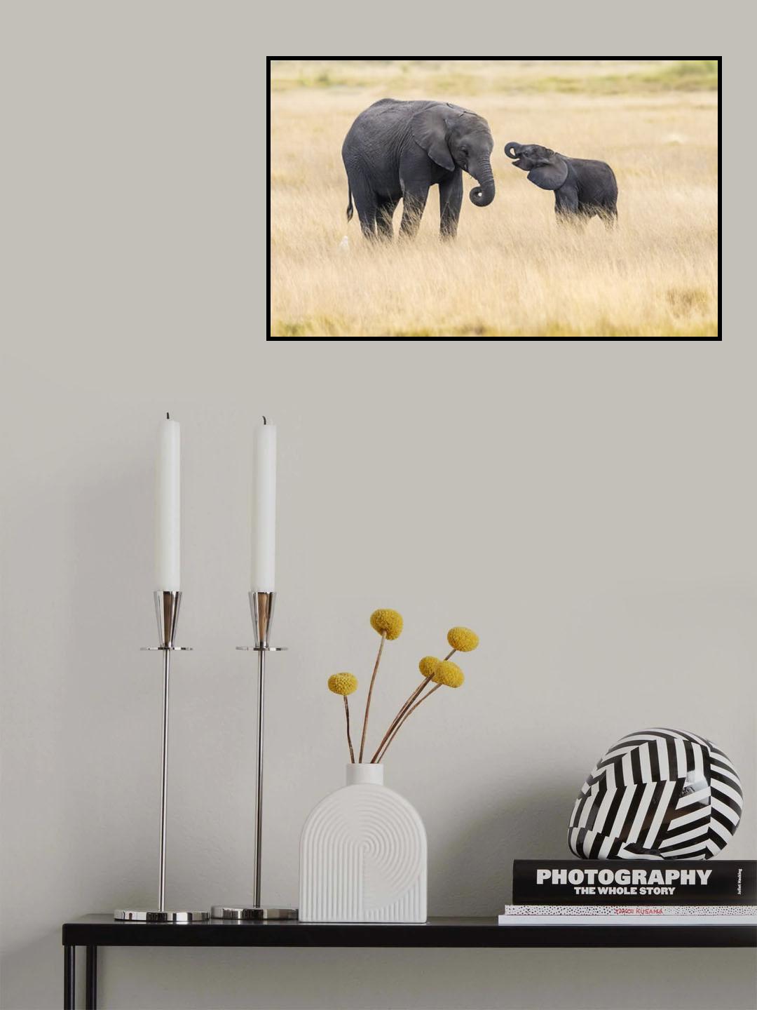 Mother and baby elephants Poster och Canvastavla