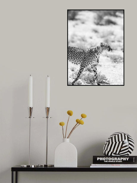 Kitty Kat Poster och Canvastavla
