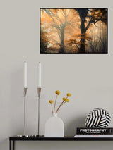 Reverse and Forward Poster och Canvastavla