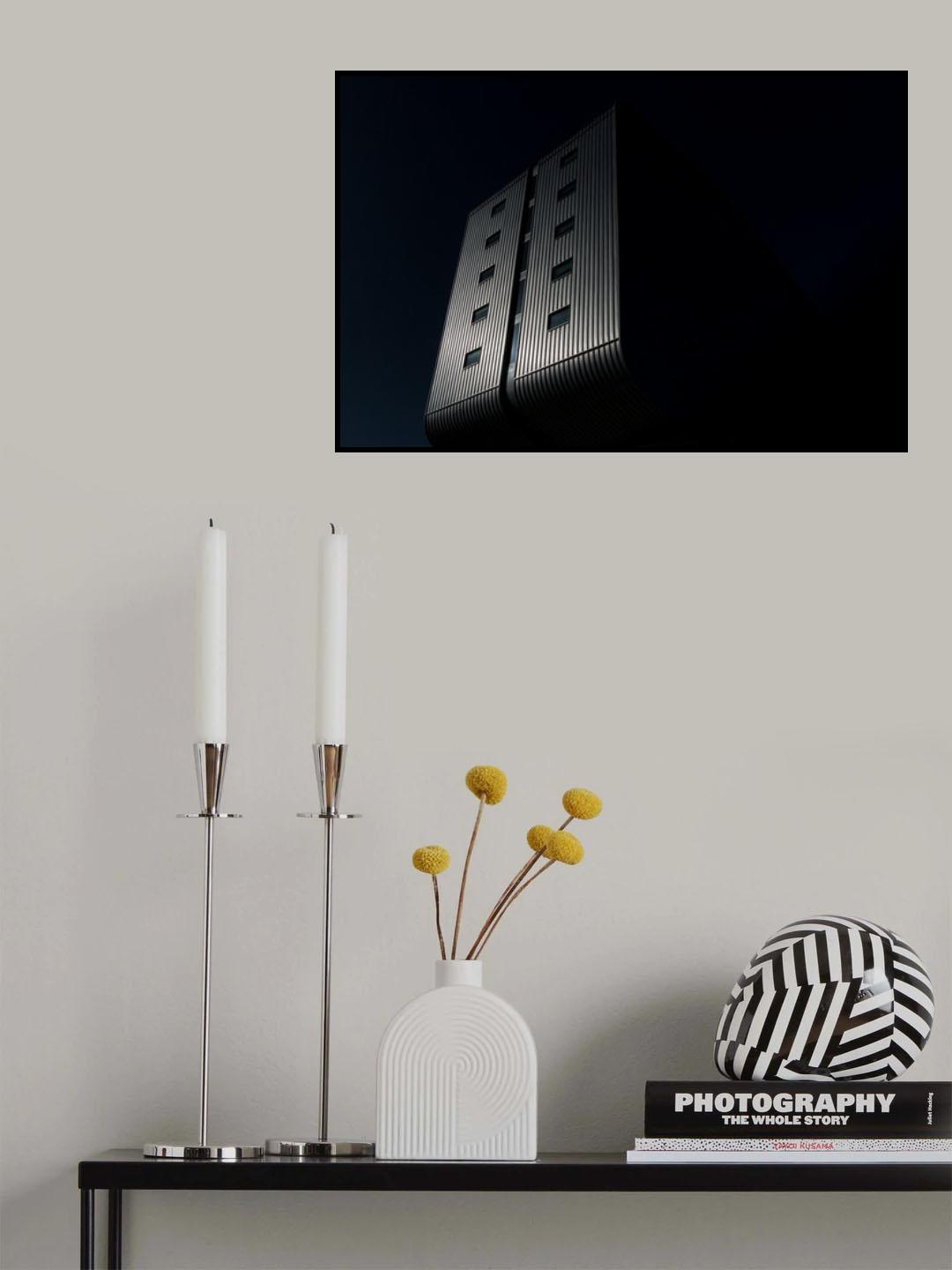 BLACK TULIP Poster och Canvastavla