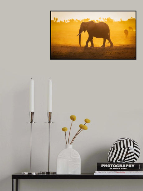 Elephantine Sunrise Poster och Canvastavla