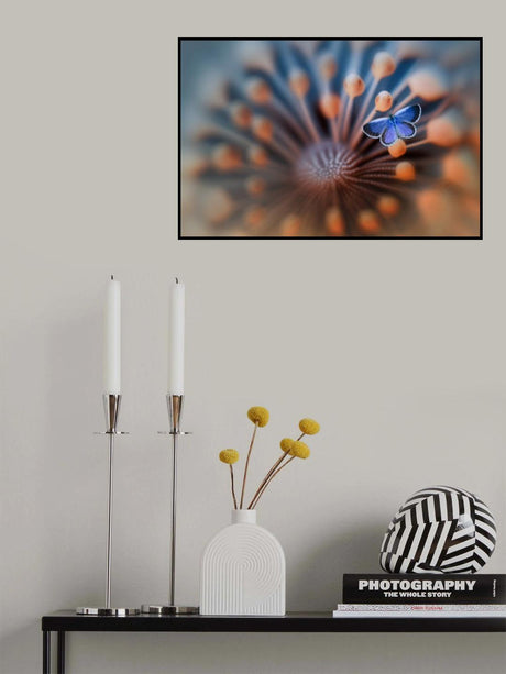 Blue Butterfly Poster och Canvastavla