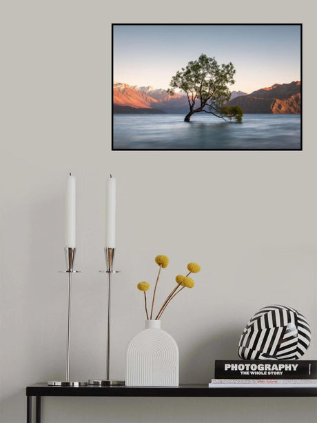 wanaka tree Poster och Canvastavla