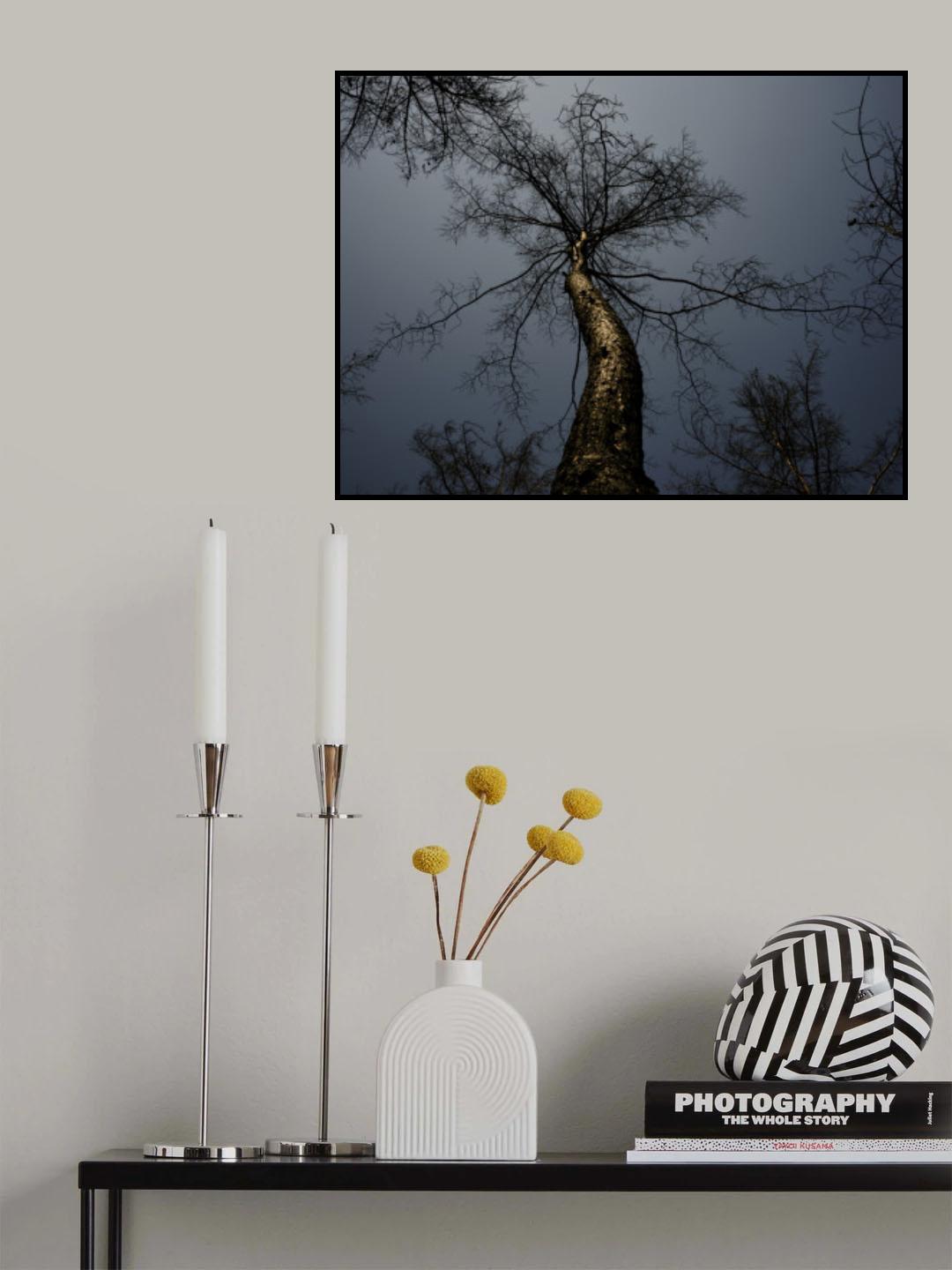 burnt tree and sky background Poster och Canvastavla