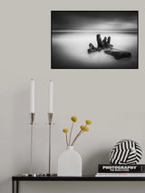 Fingers Poster och Canvastavla