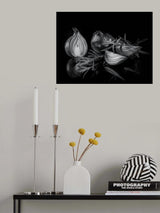 onion Poster och Canvastavla