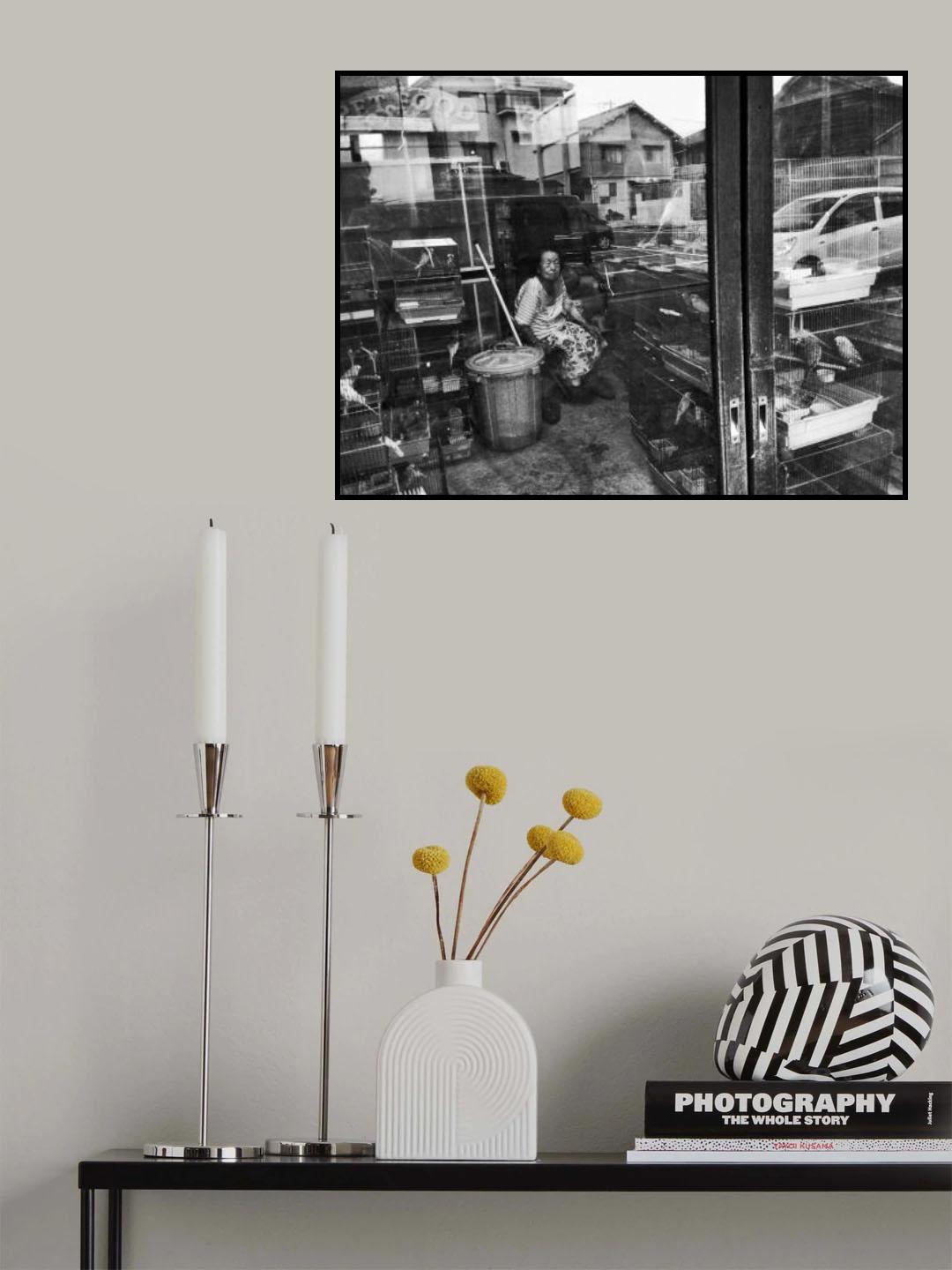 A bird seller Poster och Canvastavla