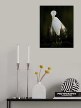 A Dress with Jewels Poster och Canvastavla