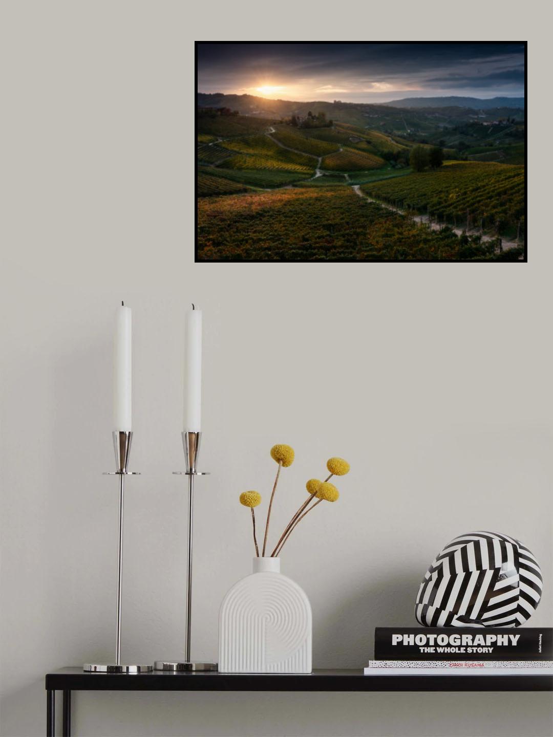 Vineyards Poster och Canvastavla
