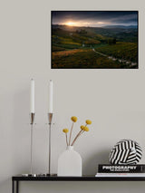 Vineyards Poster och Canvastavla