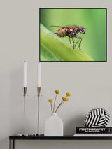 Waiting Poster och Canvastavla
