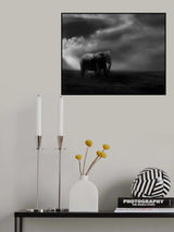 Affection Poster och Canvastavla