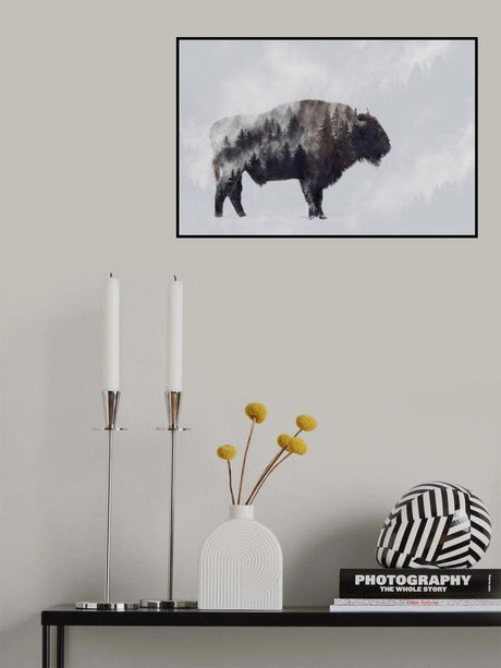 Bison - Double Exposure Poster och Canvastavla