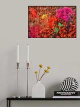 Colors of Holi III Poster och Canvastavla