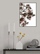 Flamboyant Poster och Canvastavla