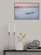 The Camel Silhouette At Sunset Poster och Canvastavla