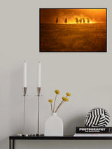 Grassland Sunset Poster och Canvastavla
