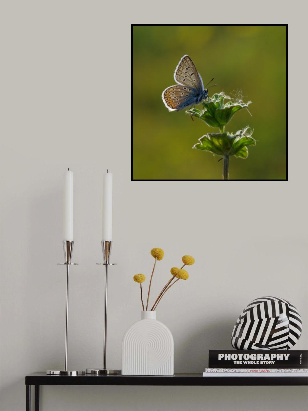 elegant Poster och Canvastavla