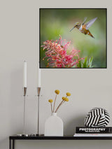 Hey Buddy, That Is My Spot! Poster och Canvastavla