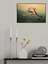Arguing Poster och Canvastavla
