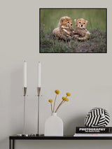 Best Sibling Poster och Canvastavla