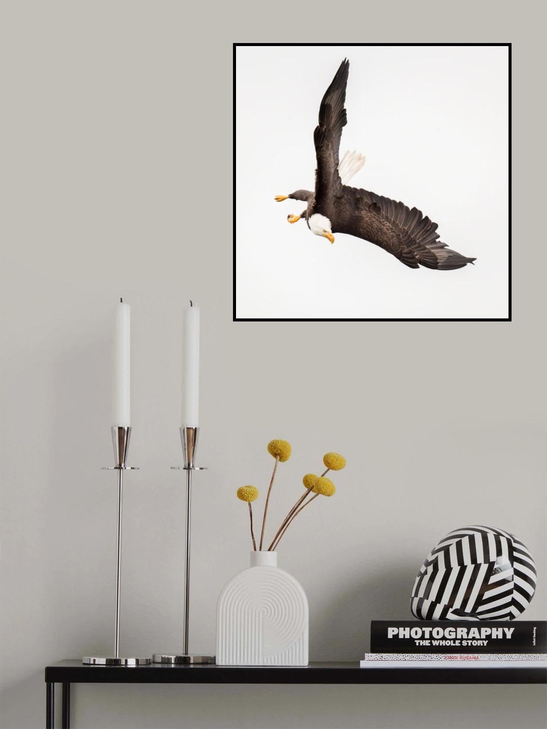 Swooping #2 Poster och Canvastavla