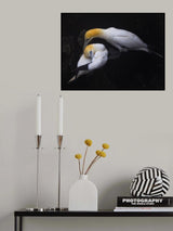 Lullaby Poster och Canvastavla