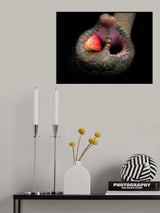 Big Nose Poster och Canvastavla