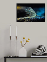 Warm and cold Poster och Canvastavla