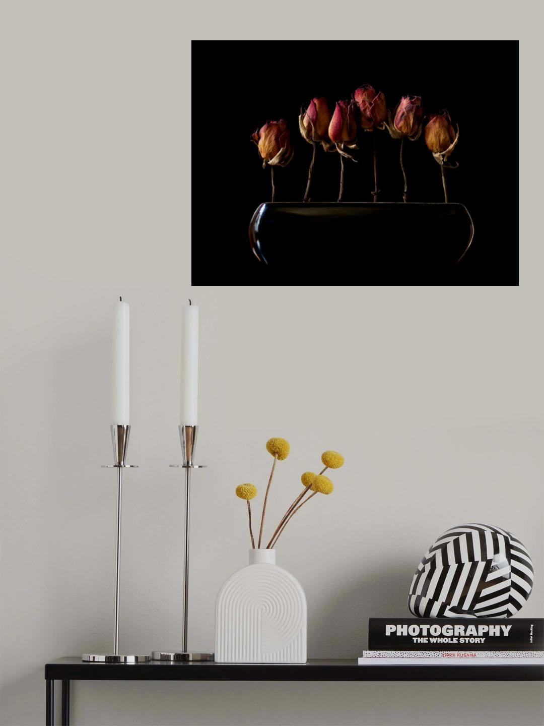 night garden Poster och Canvastavla
