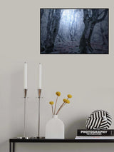 Forest gates Poster och Canvastavla