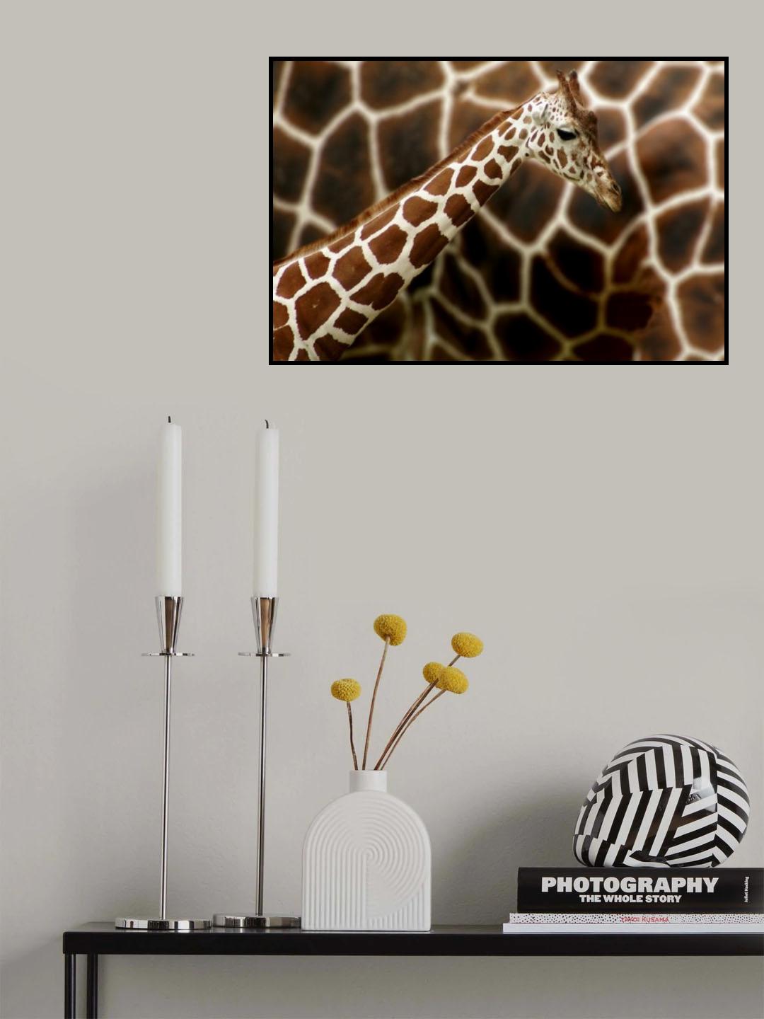 Giraffe in front of  mum Poster och Canvastavla