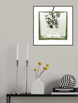 Mo(nu)ments of Rest # 20 Poster och Canvastavla
