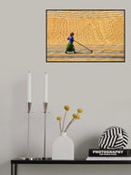 Pattern in Paddy Field Poster och Canvastavla