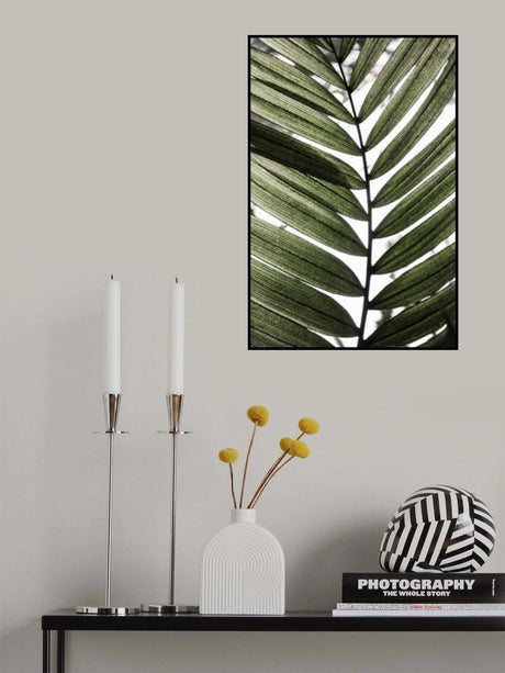Palm Leaves 24 Poster och Canvastavla