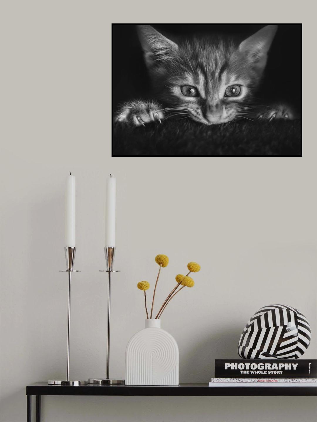 At the movies Poster och Canvastavla
