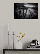 Best Friends Poster och Canvastavla