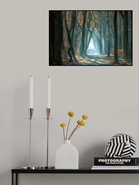 Cold Light Poster och Canvastavla