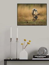Painted Dog Stalk Poster och Canvastavla