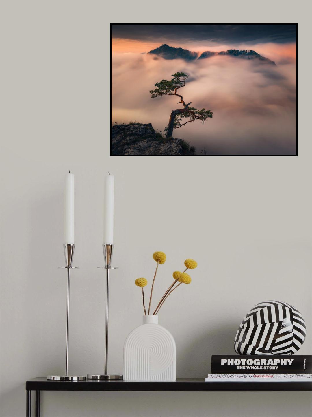 Bonsai Poster och Canvastavla