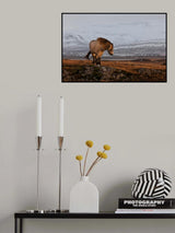 A gleam from the sun Poster och Canvastavla