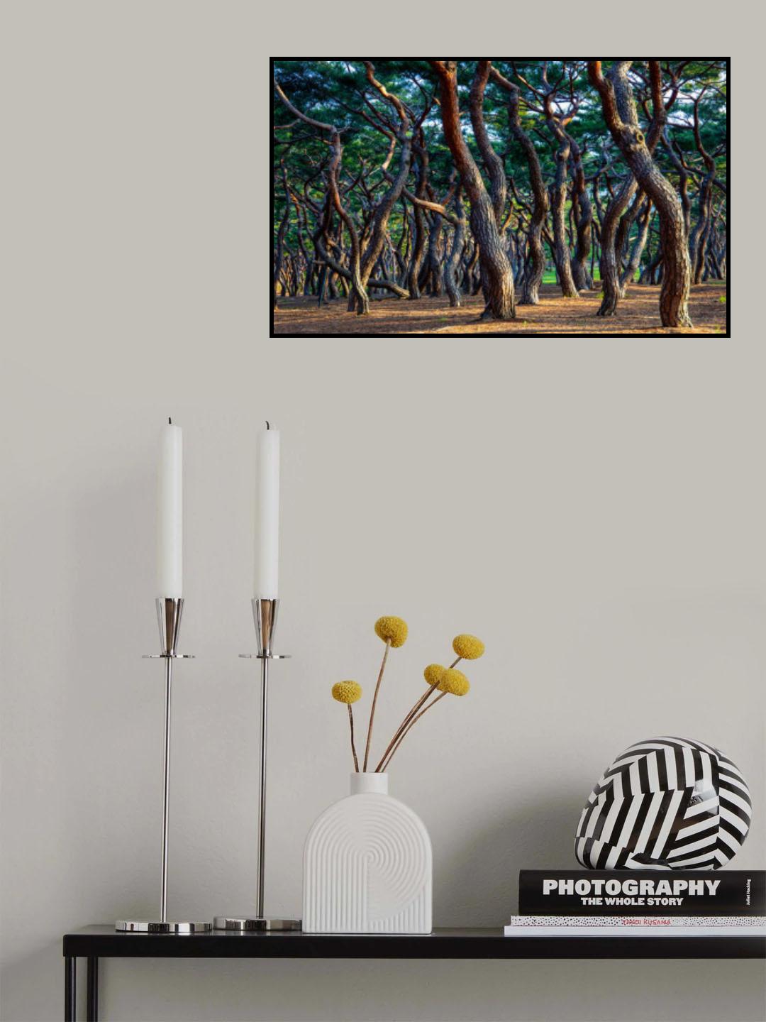 Heungdeok Pine Trees5 Poster och Canvastavla