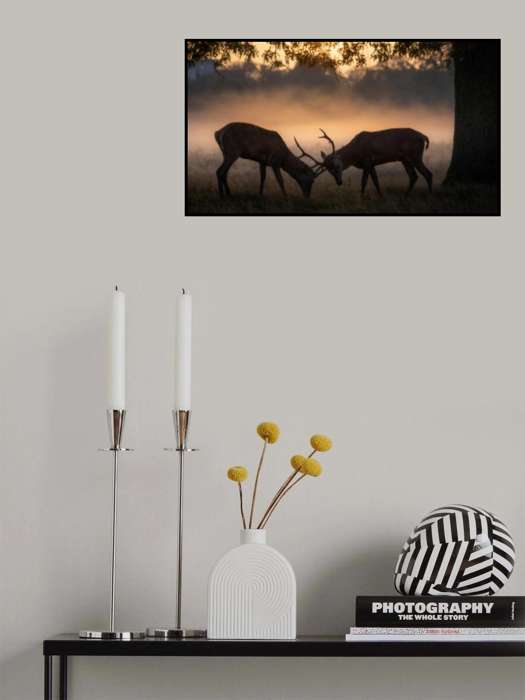 Fight for Queen Poster och Canvastavla