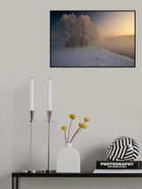 The first... Poster och Canvastavla