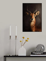 Poster och Canvastavla