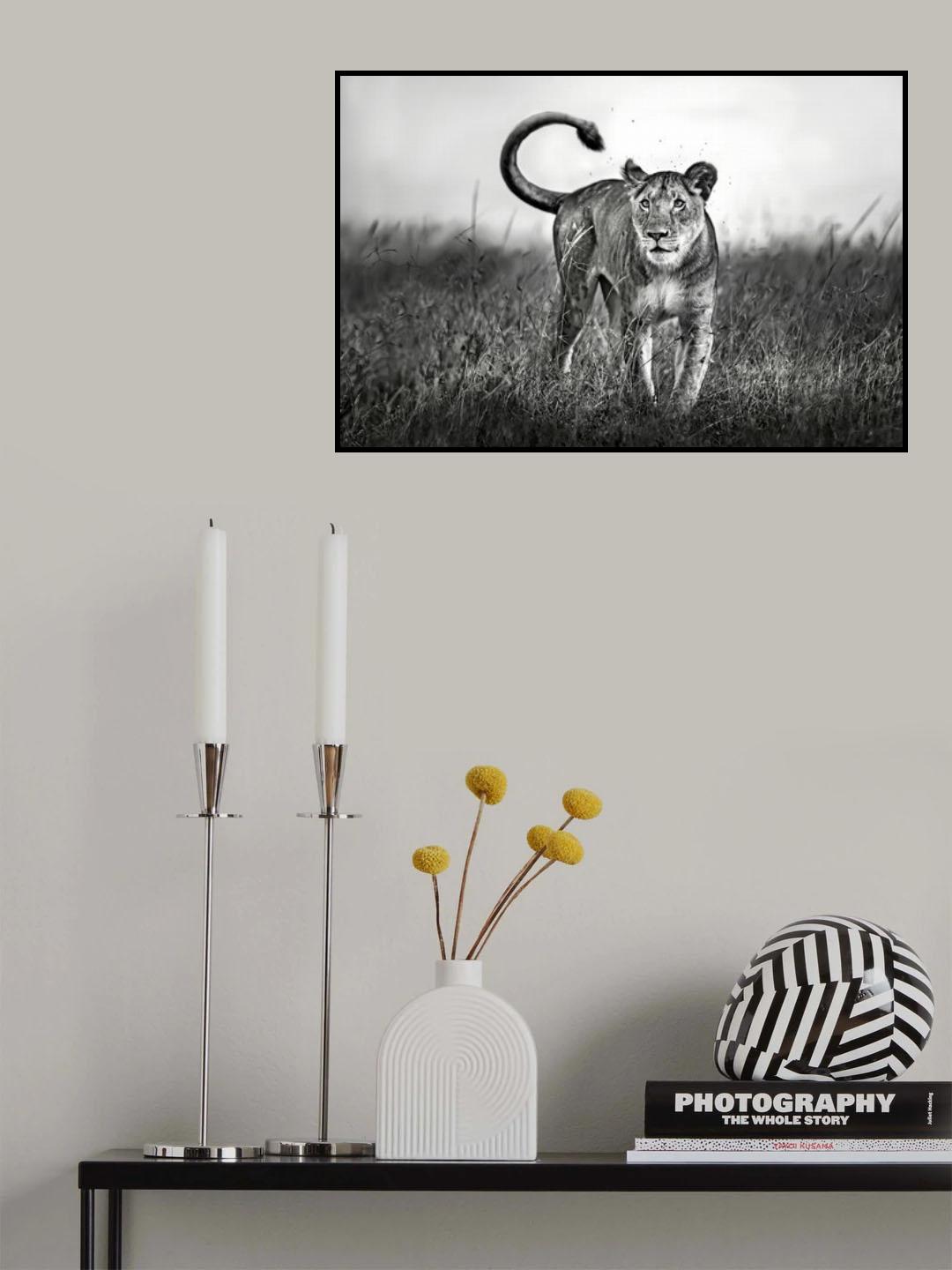 Lioness Close Up Poster och Canvastavla