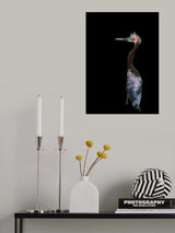 Bad haired day Poster och Canvastavla