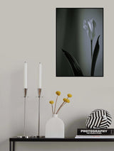 Last Glow Poster och Canvastavla